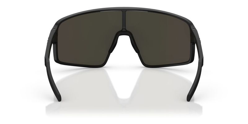 Bliz P001 Matte Black Linsefarge: Brun/grønn flerfarget